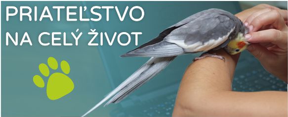 priateľstvo na celý život pet24