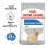 CCN MINI LIGHT WEIGHT CARE 1Kg