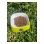 AMITY PREMIUM CHICKEN & RICE CATS 10 kg