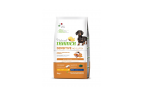 TRAINER SENSITIVE no gluten