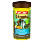 Daphnia