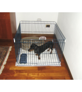 ohrádka pre psov dog training