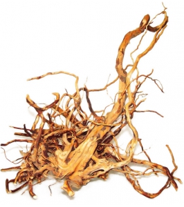 Koreň FINGER WOOD-S 16-20cm - do akvárií a terárií