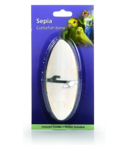 Sépiová kosť veľká 20cm